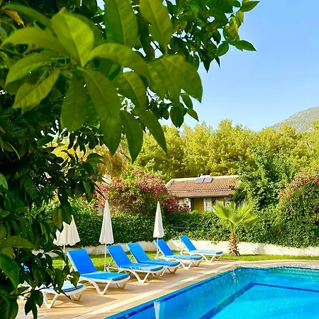 Private Among Trees, With A Private Pool Hotel